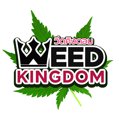 Weed Kingdom Cannabis Store | ร้านกัญชา วีดคิงดอม